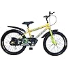 RYDEWIN Samurai 20T Kids Bicycle