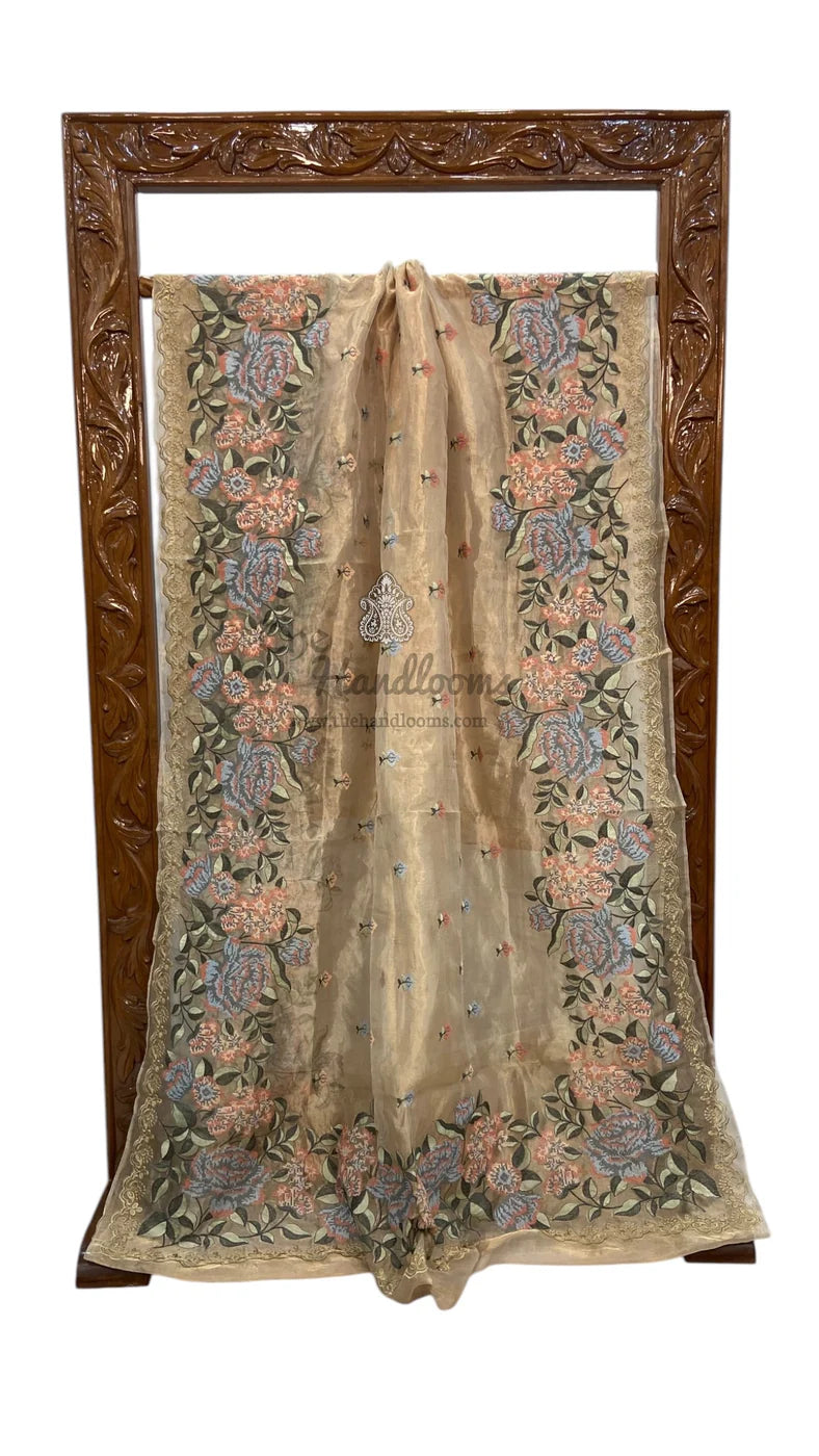 Pure Tissue Handloom Banarasi Saree With Chikankari